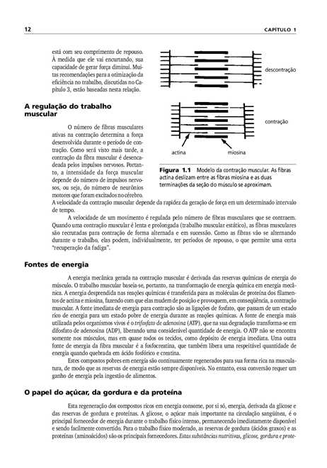 Manual de Ergonomia