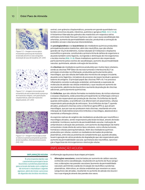 Patologia Oral