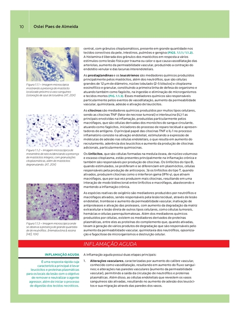 Patologia Oral