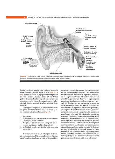 Rotinas em Otorrinolaringologia