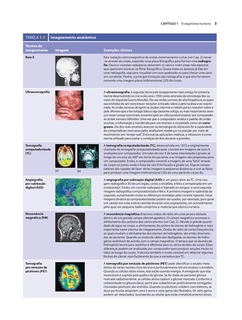 Anatomia e Fisiologia de Seeley