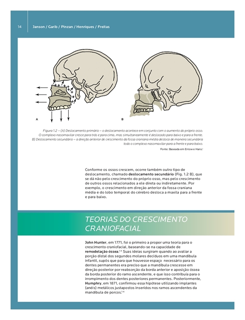 Introdução à Ortodontia