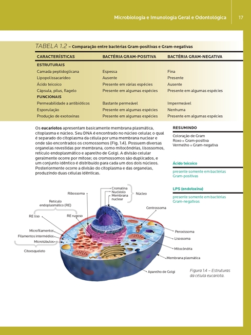 Microbiologia e Imunologia Geral e Odontológica