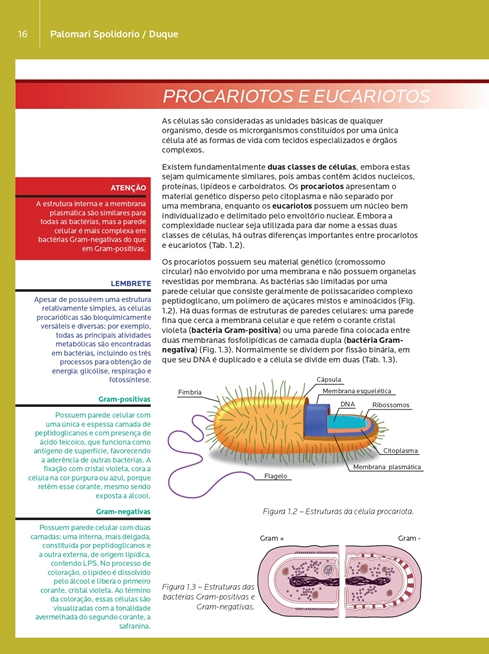 Microbiologia e Imunologia Geral e Odontológica