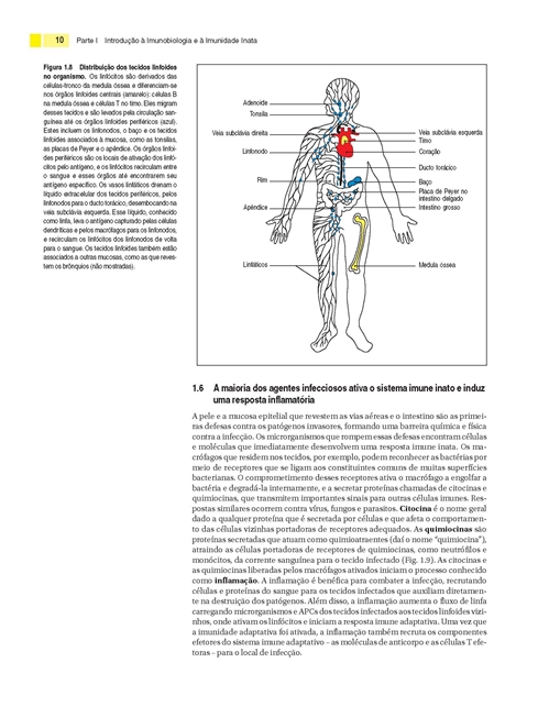 Imunobiologia de Janeway