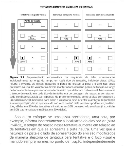 Neuropsicologia Hoje