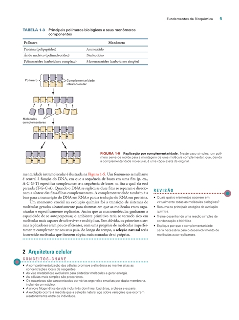 Fundamentos de Bioquímica