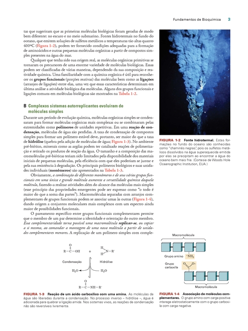 Fundamentos de Bioquímica