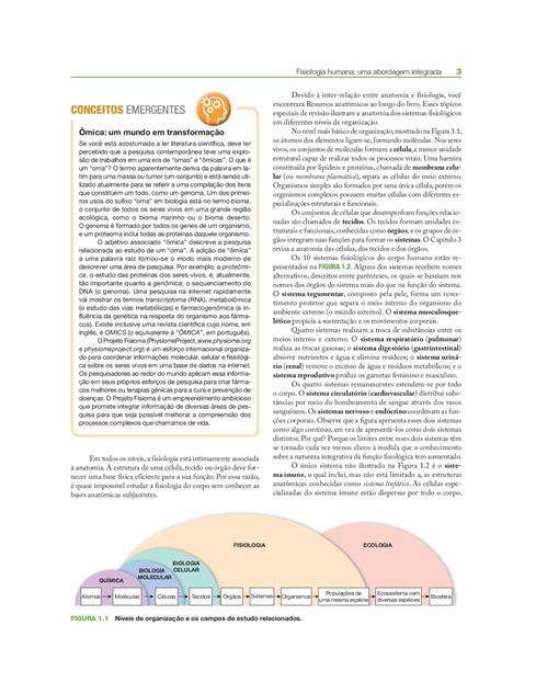 Fisiologia Humana