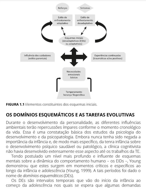 Terapia Cognitiva Focada em Esquemas