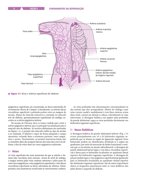 Ginecologia e Obstetrícia