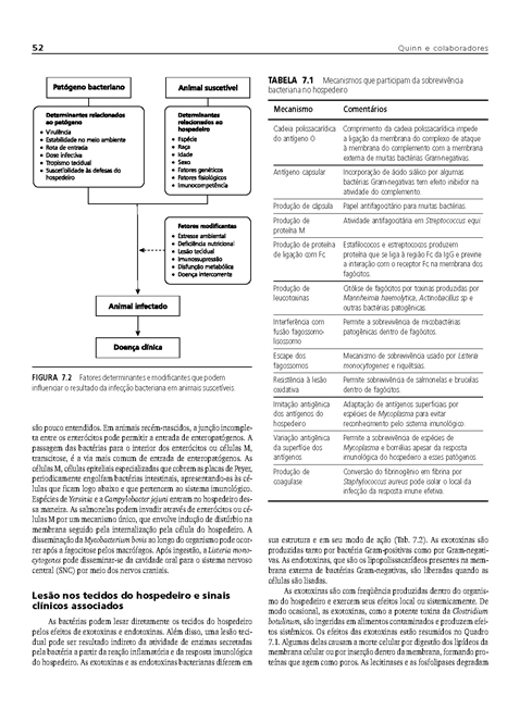 Microbiologia Veterinária e Doenças Infecciosas