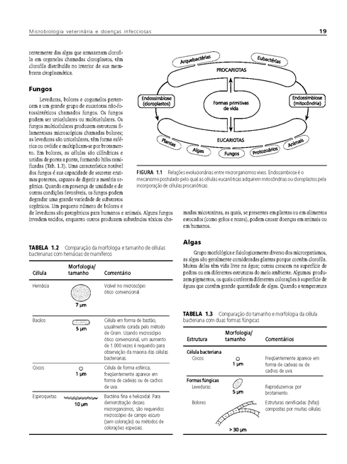 Microbiologia Veterinária e Doenças Infecciosas