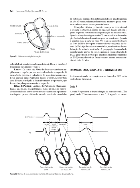 Fundamentos de Enfermagem em Cuidados Críticos da AACN