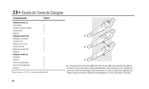 Manual de Elementos Essenciais de Enfermagem em Cuidados Críticos da AACN