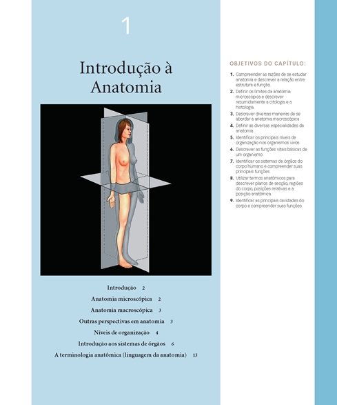 Anatomia Humana