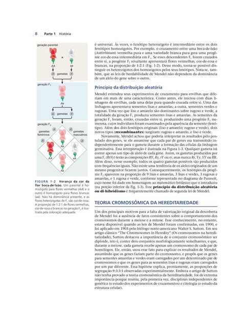 Biologia Molecular do Gene