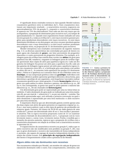 Biologia Molecular do Gene