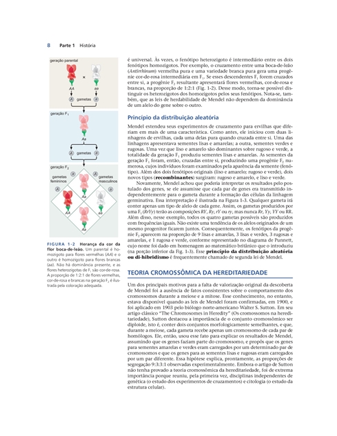 Biologia Molecular do Gene