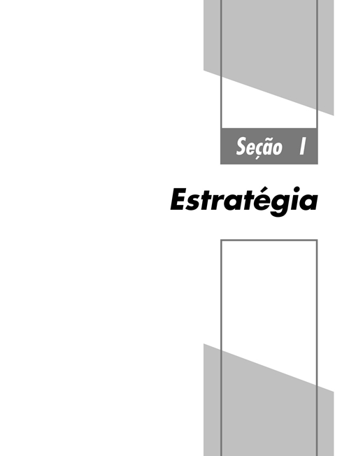 O Processo da Estratégia