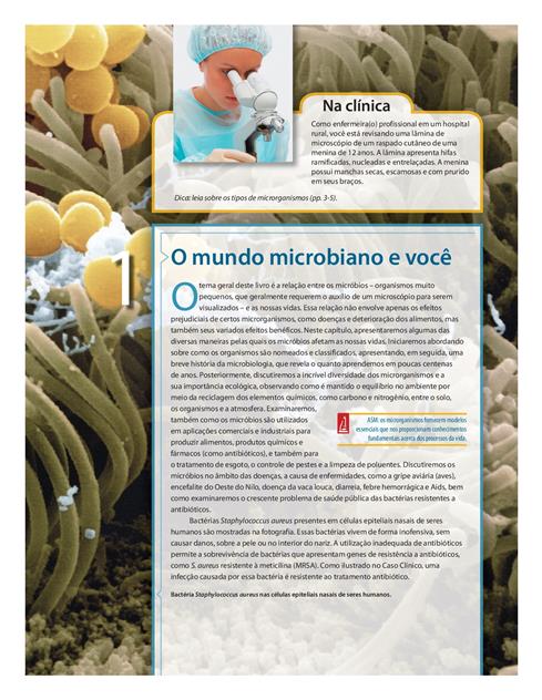 Microbiologia