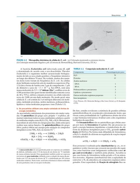 Bioquímica