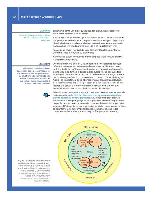 Cariologia