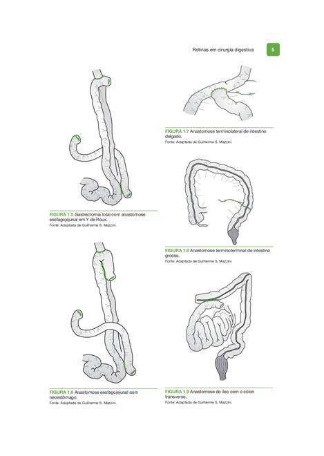 Rotinas em Cirurgia Digestiva