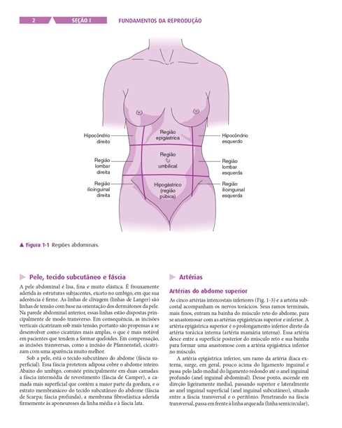 Ginecologia e Obstetrícia