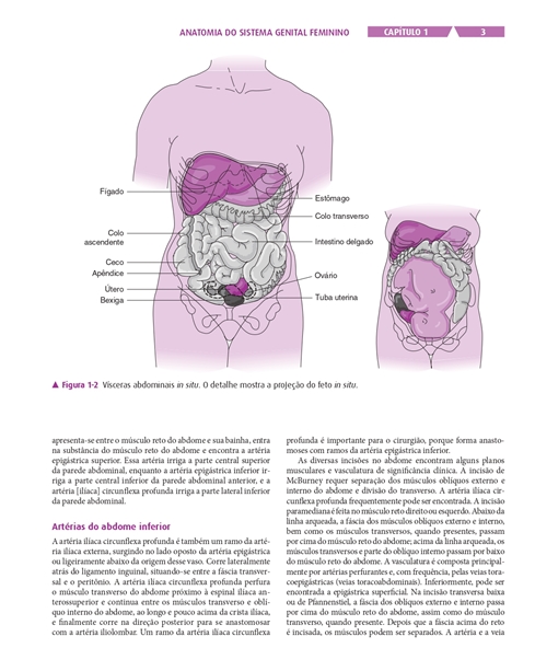 Ginecologia e Obstetrícia