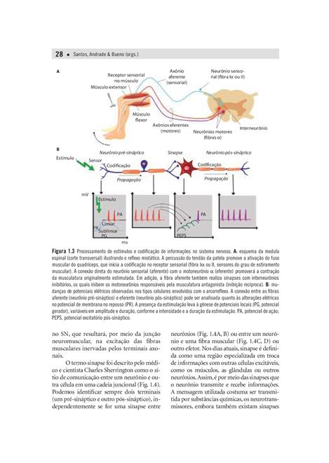 Neuropsicologia Hoje