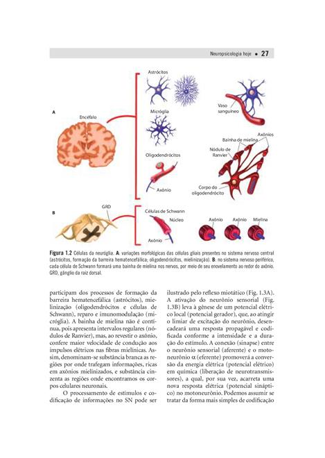 Neuropsicologia Hoje