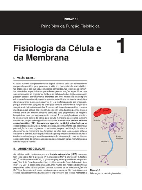 Fisiologia Ilustrada