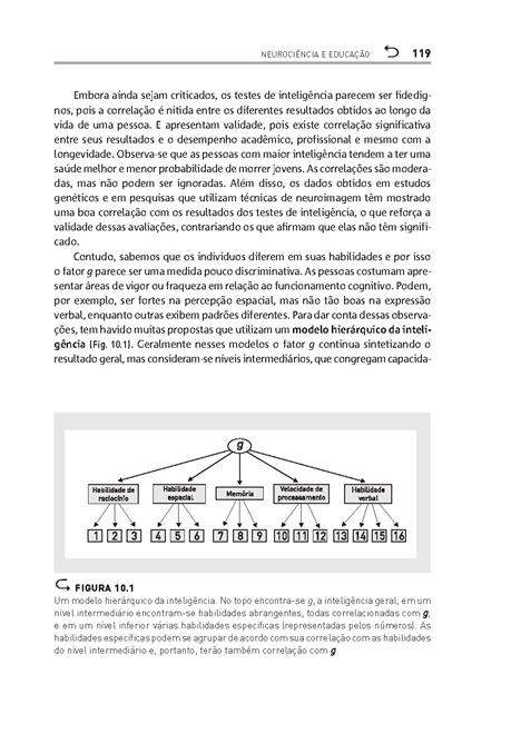 Neurociência e educação