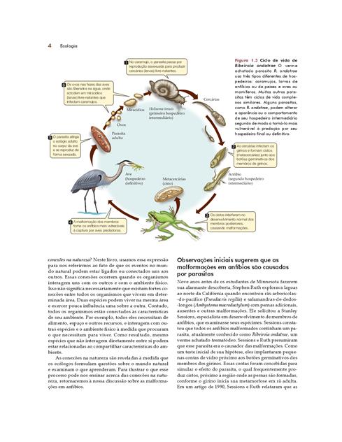 Ecologia