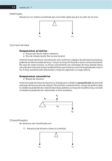 Cinesiologia e Musculação