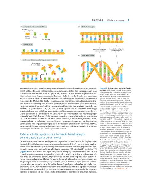 Biologia Molecular da Célula