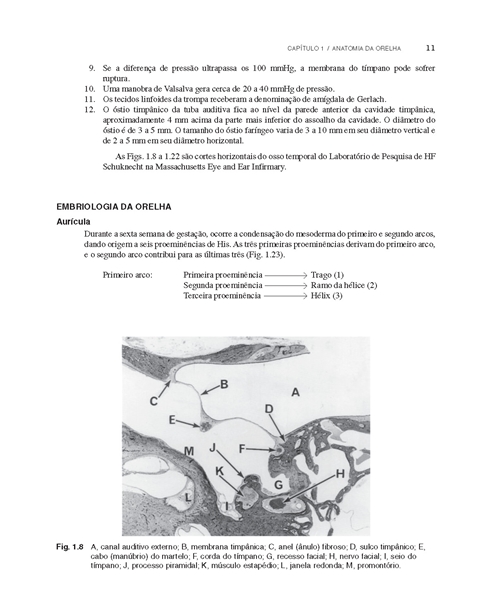 Princípios de Otorrinolaringologia