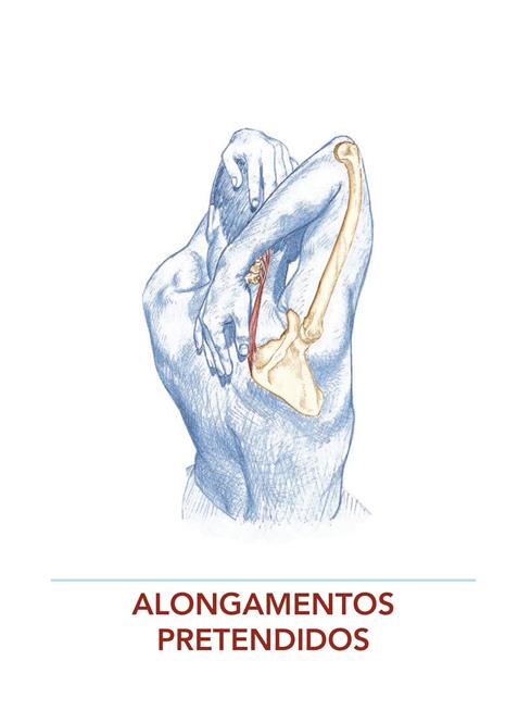 Indicações de Alongamento