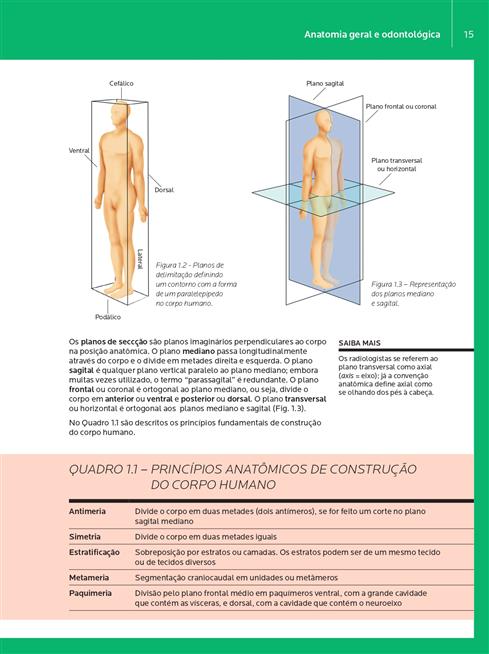 Anatomia Geral e Odontológica