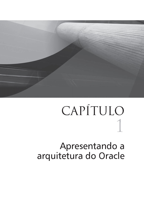 Oracle Database 11g