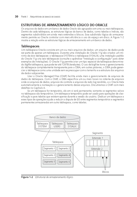 Oracle Database 11g