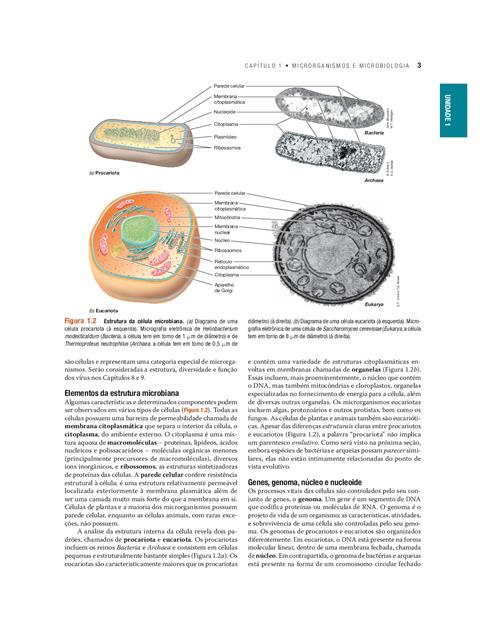 Microbiologia de Brock