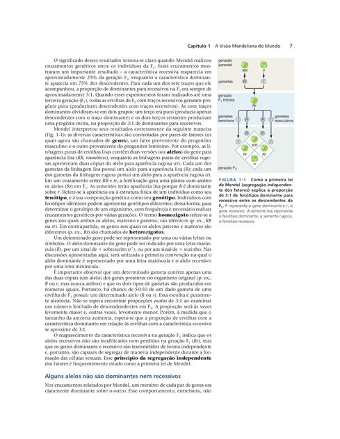 Biologia Molecular do Gene