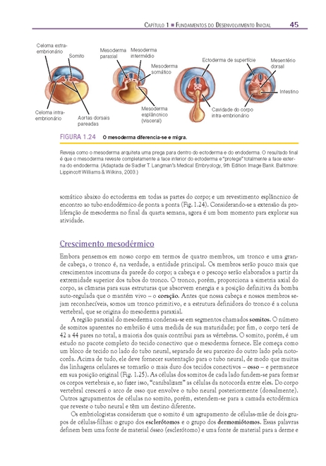 Fundamentos em Anatomia