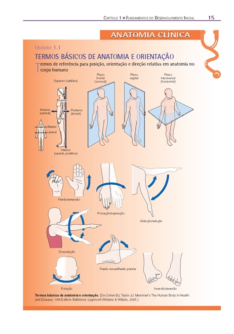 Fundamentos em Anatomia