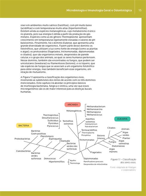 Microbiologia e Imunologia Geral e Odontológica