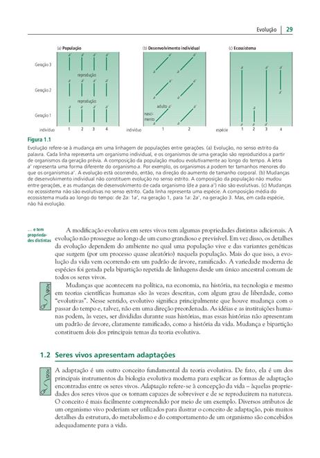 Evolução