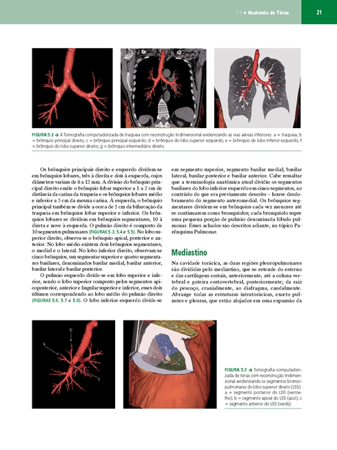 Pneumologia