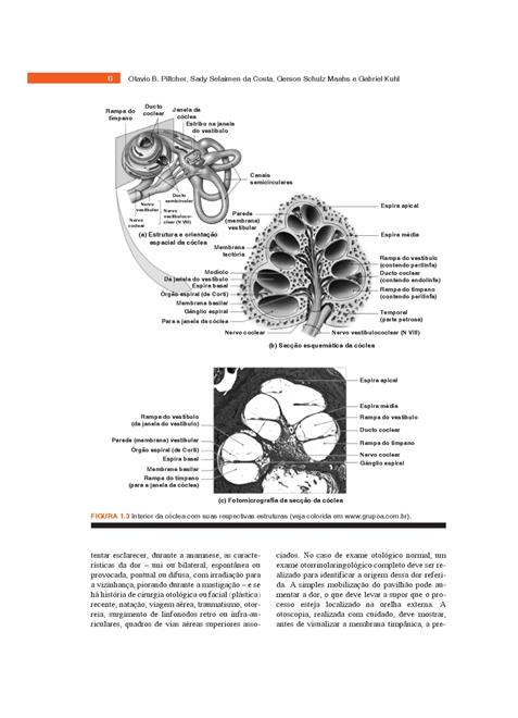 Rotinas em Otorrinolaringologia